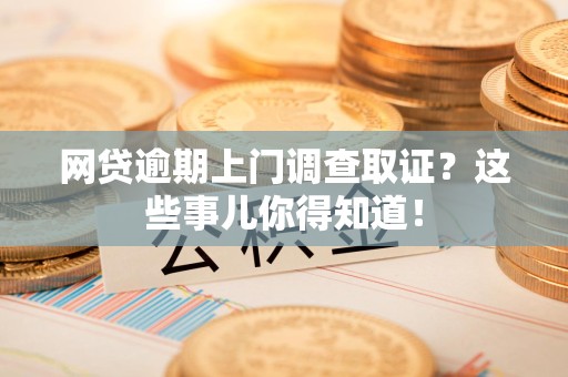 泾县网贷逾期上门调查取证？这些事儿你得知道！