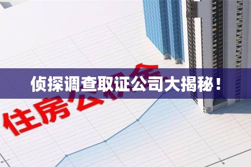 泾县侦探调查取证公司大揭秘！