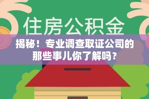 泾县揭秘！专业调查取证公司的那些事儿你了解吗？