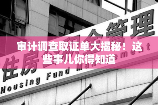 泾县审计调查取证单大揭秘！这些事儿你得知道