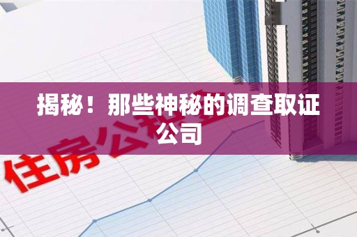 泾县揭秘！那些神秘的调查取证公司