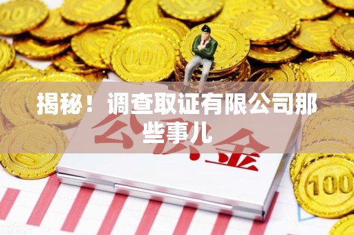 泾县揭秘！调查取证有限公司那些事儿