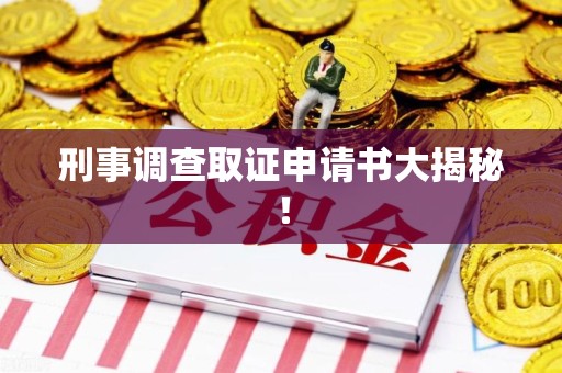 泾县刑事调查取证申请书大揭秘！