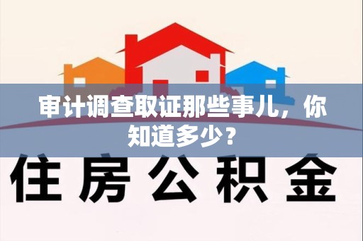 泾县审计调查取证那些事儿，你知道多少？