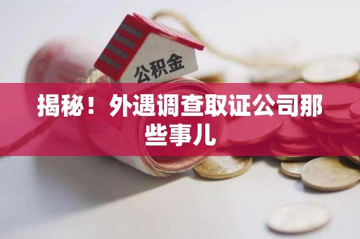 泾县揭秘！外遇调查取证公司那些事儿