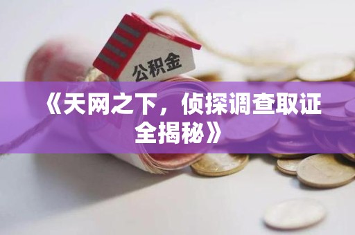 泾县《天网之下，侦探调查取证全揭秘》