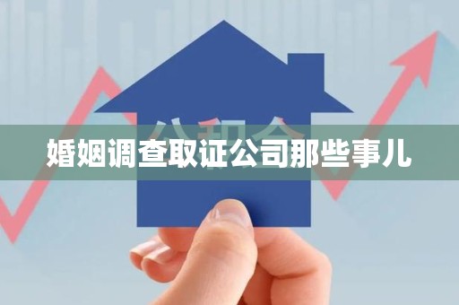 泾县婚姻调查取证公司那些事儿