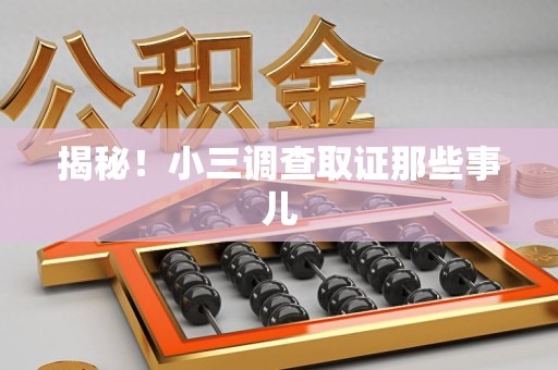 泾县揭秘！小三调查取证那些事儿