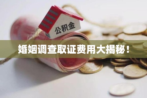 泾县婚姻调查取证费用大揭秘！