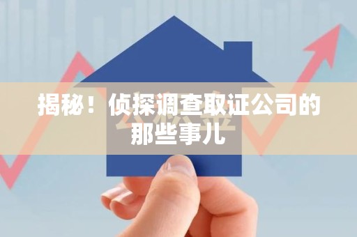 泾县揭秘！侦探调查取证公司的那些事儿