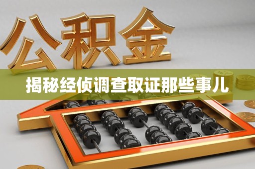 泾县揭秘经侦调查取证那些事儿