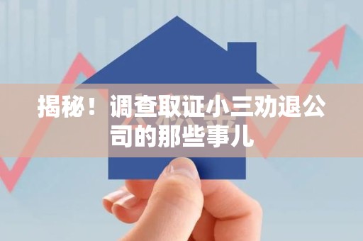 泾县揭秘！调查取证小三劝退公司的那些事儿