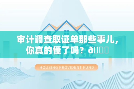 泾县审计调查取证单那些事儿，你真的懂了吗？😎