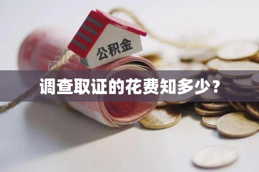 泾县调查取证的花费知多少？