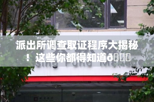 泾县派出所调查取证程序大揭秘！这些你都得知道😉