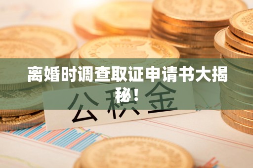 泾县离婚时调查取证申请书大揭秘！